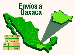Inforgrafia de envios a oaxaca